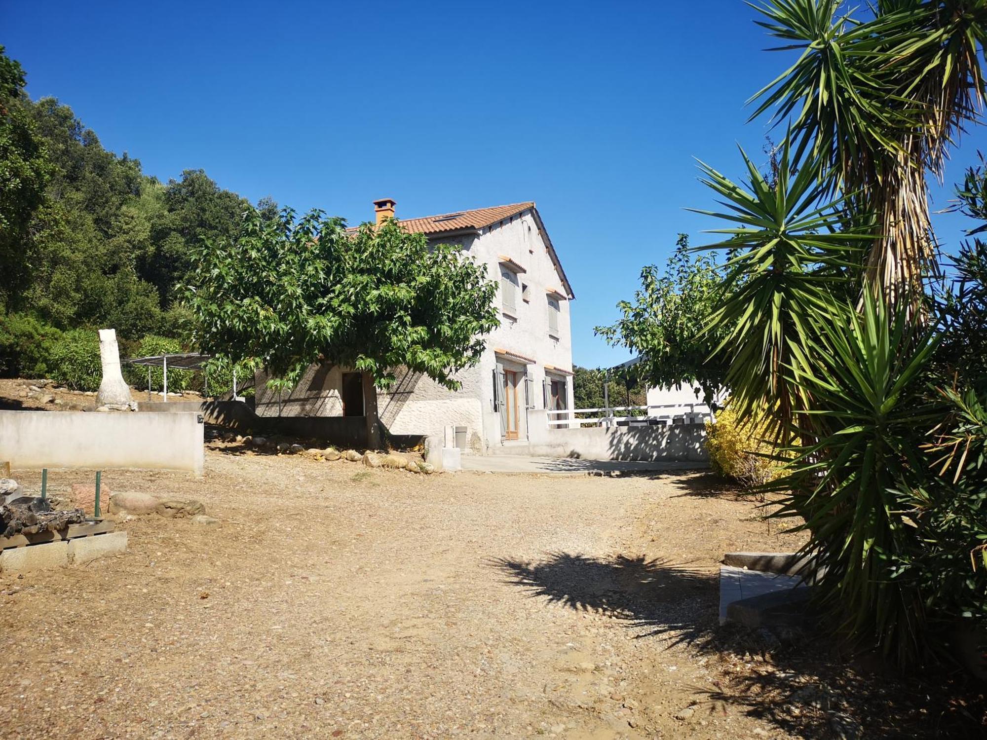 E Rottani