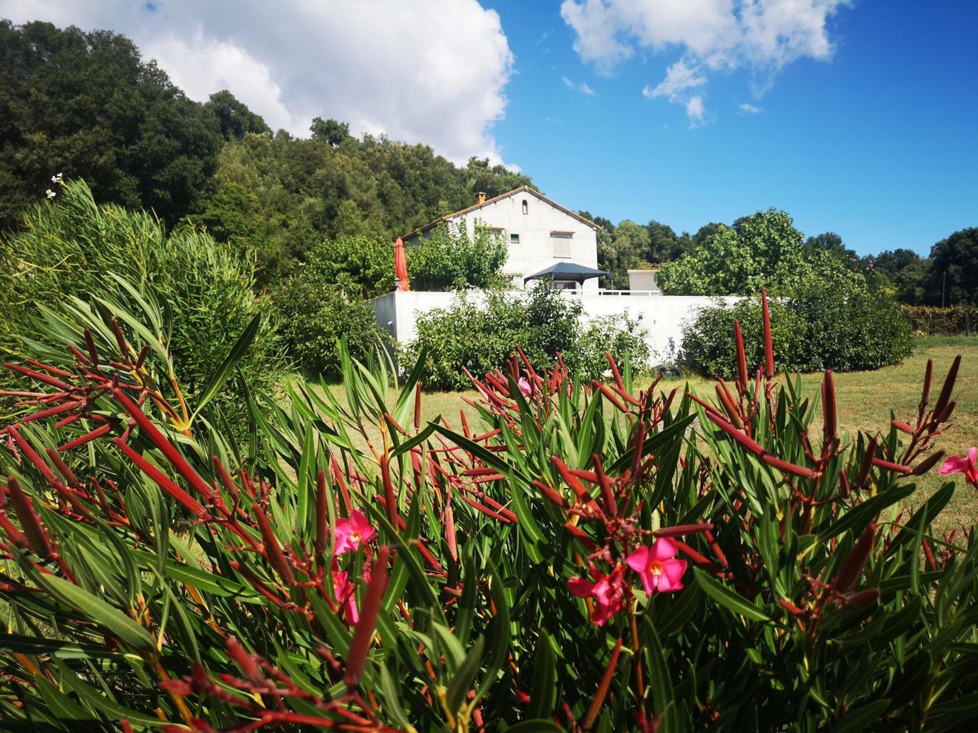 Hébergement de vacances E Rottani
